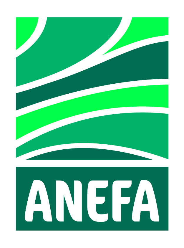 ANEFA